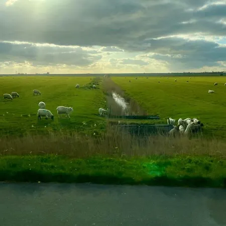 Lägenhet Treeneglueck